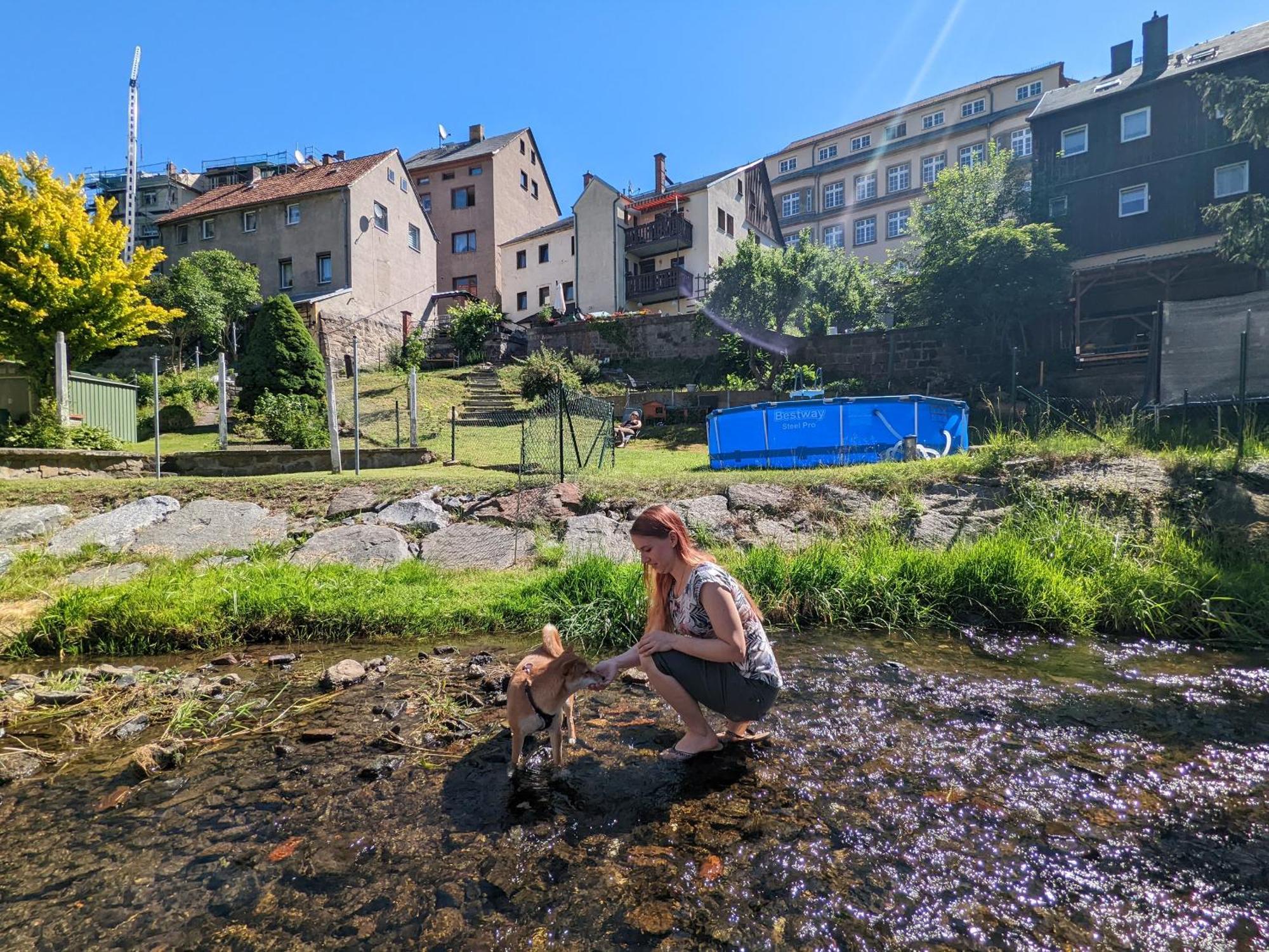 F2 - Urlaubsmagie Sauna, Whirlpool, Pool & Garten Sebnitz Dış mekan fotoğraf