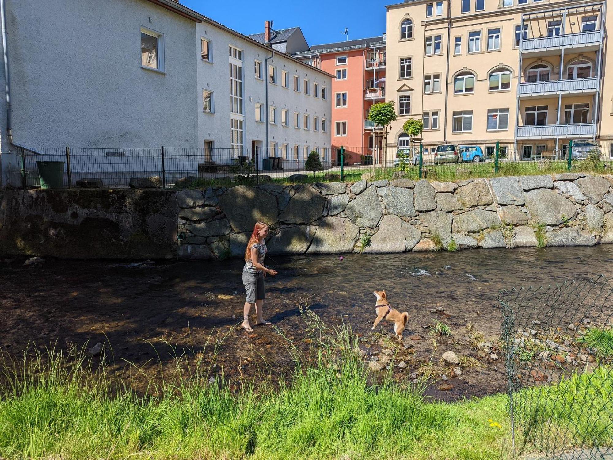 F2 - Urlaubsmagie Sauna, Whirlpool, Pool & Garten Sebnitz Dış mekan fotoğraf