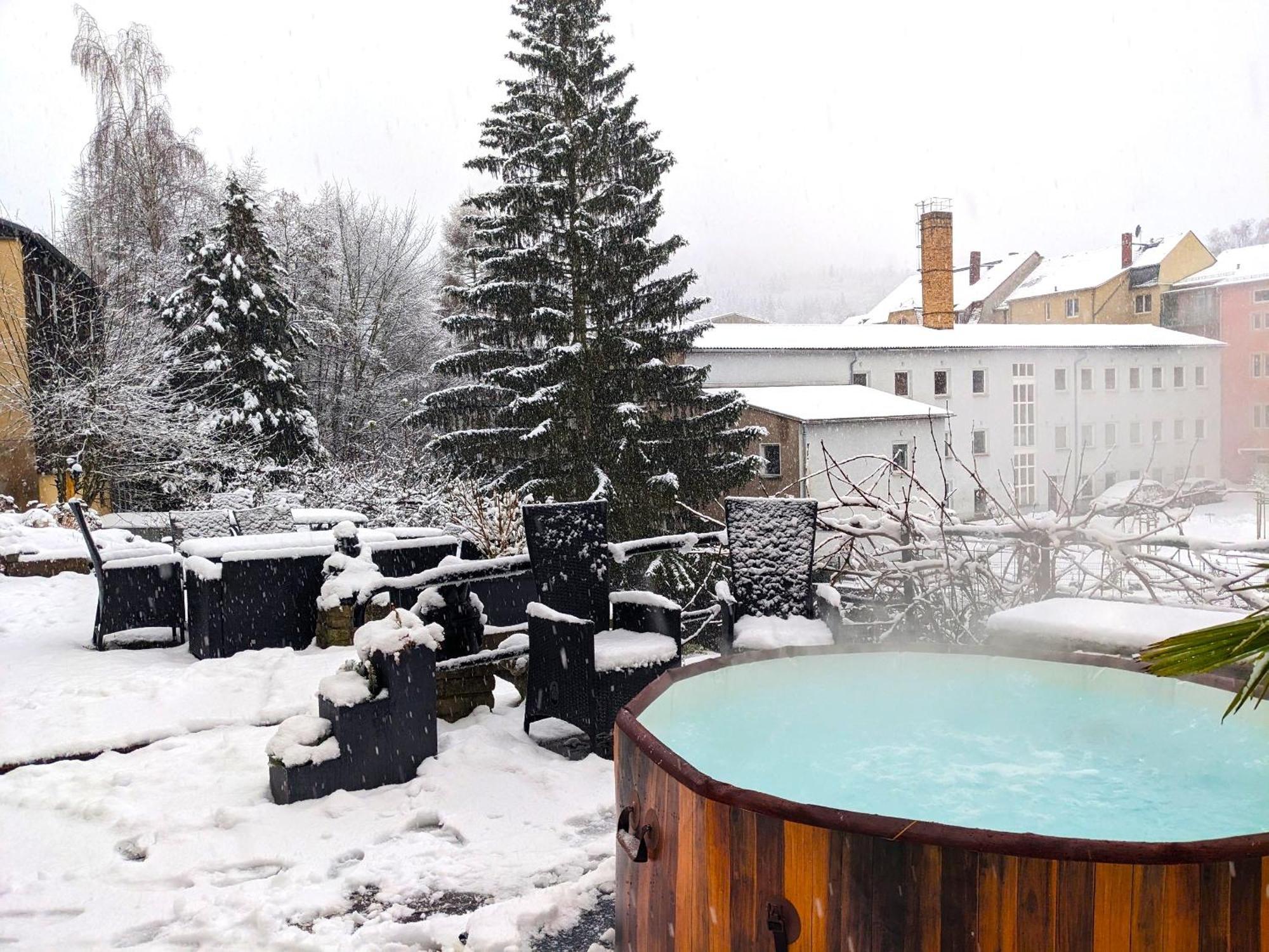 F2 - Urlaubsmagie Sauna, Whirlpool, Pool & Garten Sebnitz Dış mekan fotoğraf